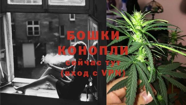 не бодяженный Осташков