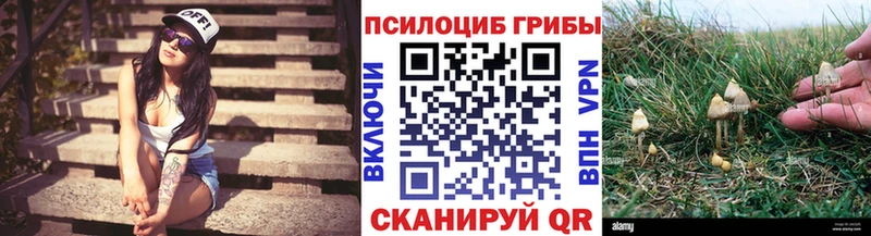 Псилоцибиновые грибы GOLDEN TEACHER Певек